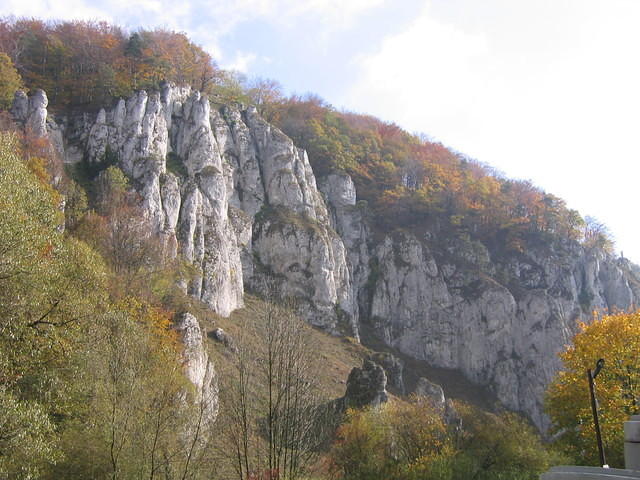 Picture_003.jpg
