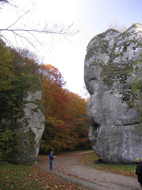 Picture_004.jpg