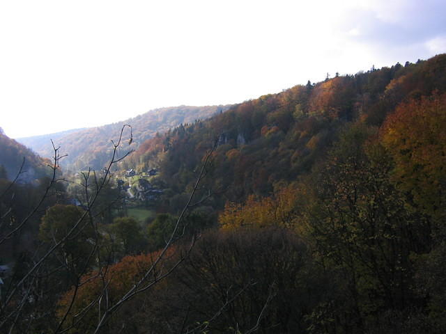Picture_008.jpg
