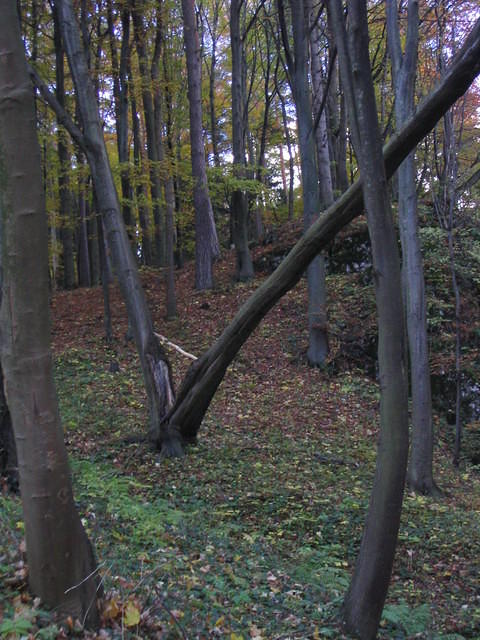 Picture_009.jpg