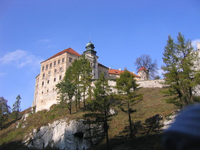 Picture_012.jpg