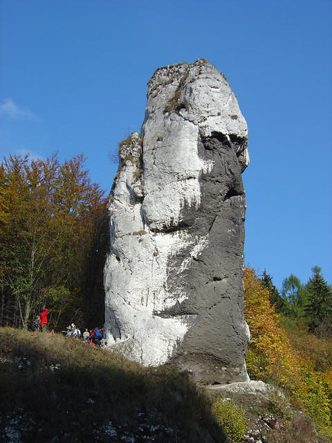 dsc00286.jpg