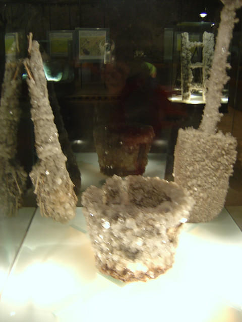 dsc00318.jpg