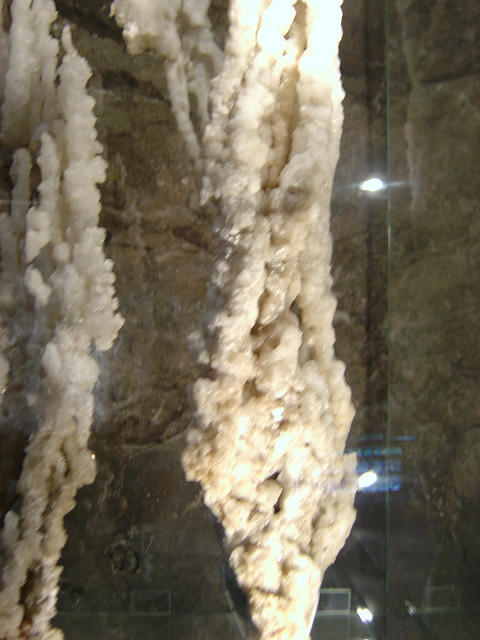 dsc00320.jpg