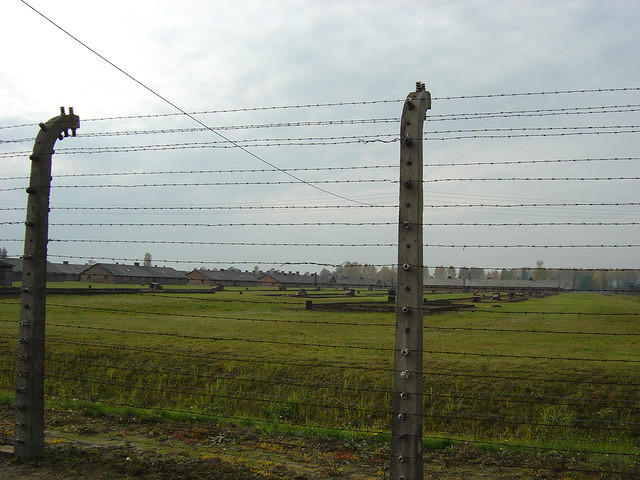 dsc00336.jpg