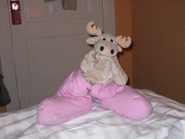 Picture_013.jpg