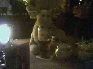 Moose.jpg