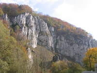 Picture_003.jpg