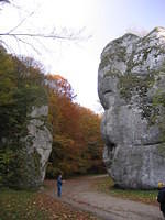 Picture_004.jpg