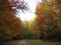 Picture_005.jpg