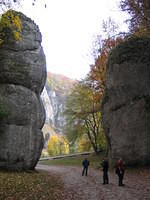 Picture_006.jpg