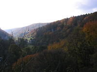 Picture_008.jpg