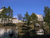 Picture_014.jpg