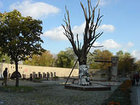 dsc00228.jpg