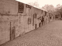 dsc00229.jpg