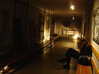 dsc00230.jpg