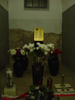 dsc00234.jpg
