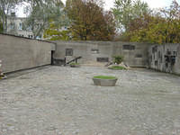 dsc00235.jpg