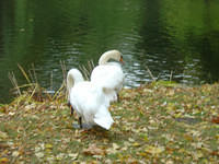 dsc00267.jpg
