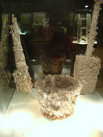 dsc00318.jpg