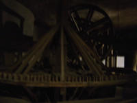 dsc00319.jpg