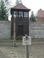 dsc00335.jpg