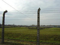 dsc00336.jpg