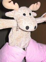 Picture_011.jpg