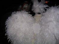 Picture_040.jpg