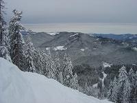 dsc00650.jpg