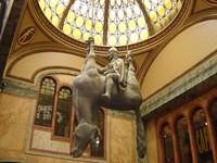 DSC00129.JPG