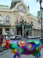 DSC00137.JPG