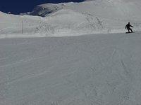 dsc00701.jpg